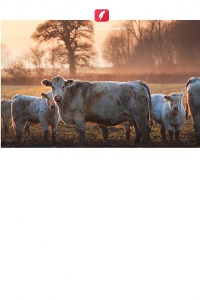 Riscos potenciais para a saúde enfrentados pelos trabalhadores do setor de resíduos sólidos