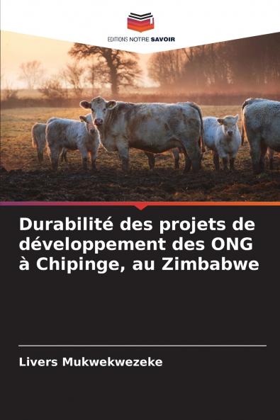 Durabilité des projets de développement des ONG à Chipinge au Zimbabwe