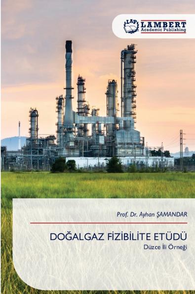 DOĞALGAZ FİZİBİLİTE ETÜDÜ