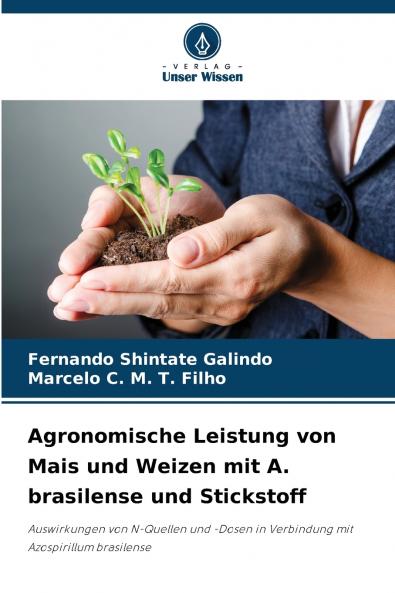 Agronomische Leistung von Mais und Weizen mit A. brasilense und Stickstoff