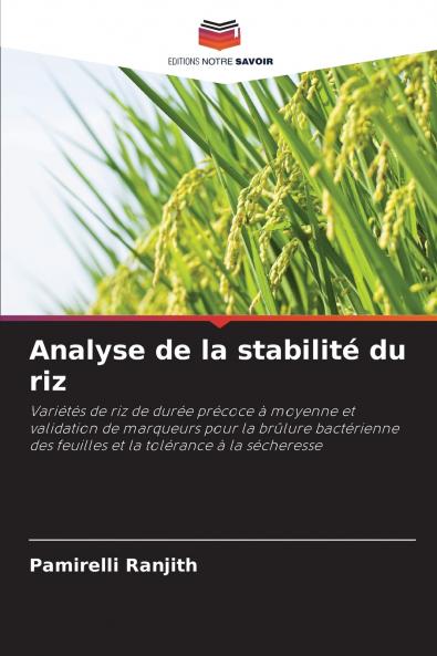 Analyse de la stabilité du riz