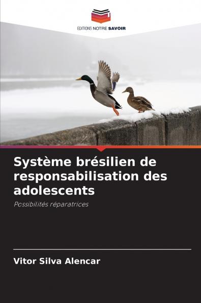 Système brésilien de responsabilisation des adolescents