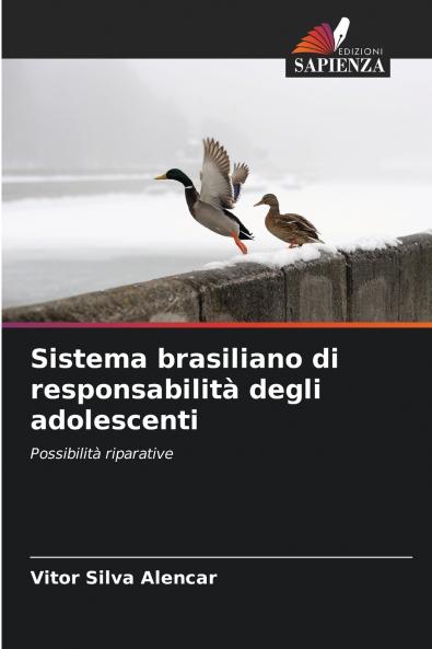 Sistema brasiliano di responsabilità degli adolescenti
