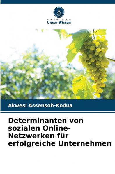 Determinanten von sozialen Online-Netzwerken für erfolgreiche Unternehmen
