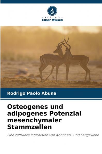 Osteogenes und adipogenes Potenzial mesenchymaler Stammzellen