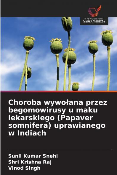 Choroba wywołana przez begomowirusy u maku lekarskiego (Papaver somnifera) uprawianego w Indiach