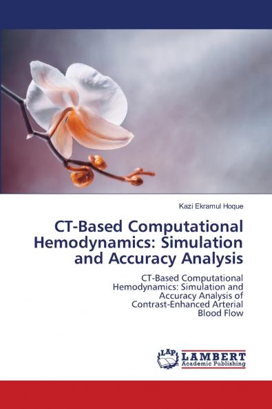 CT-Based Computational Hemodynamics