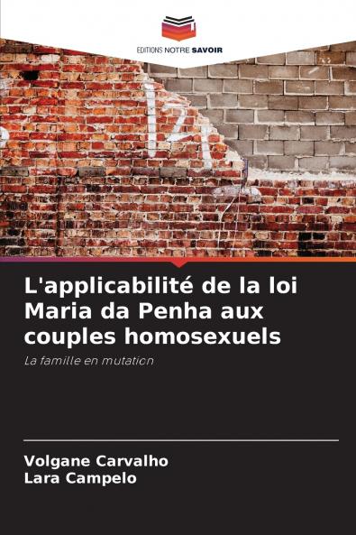 L'applicabilité de la loi Maria da Penha aux couples homosexuels