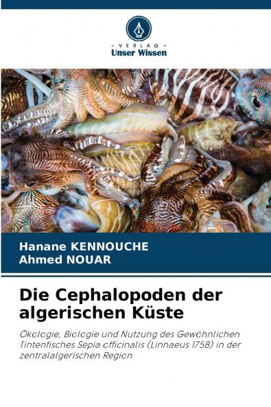 Die Cephalopoden der algerischen Küste