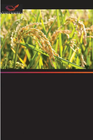 Badania nad długotrwałym stosowaniem herbicydów w systemie uprawy ryżu i pszenicy