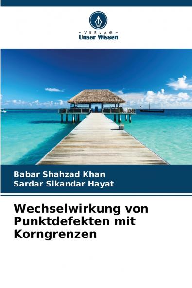 Wechselwirkung von Punktdefekten mit Korngrenzen