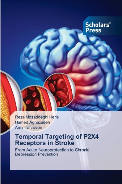 Temporal Targeting of P2X4 Receptors in Stroke