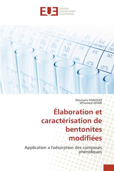 Élaboration et caractérisation de bentonites modifiées