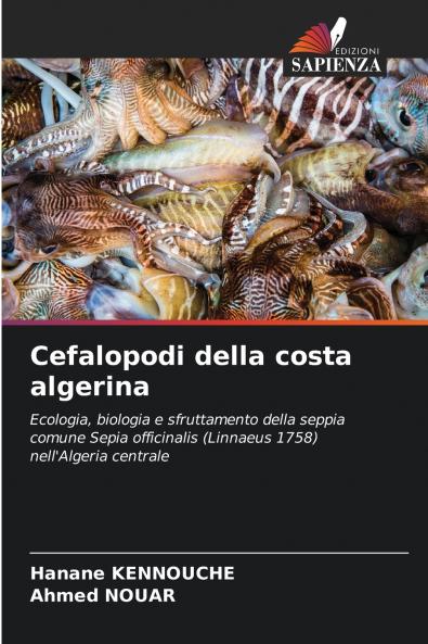 Cefalopodi della costa algerina