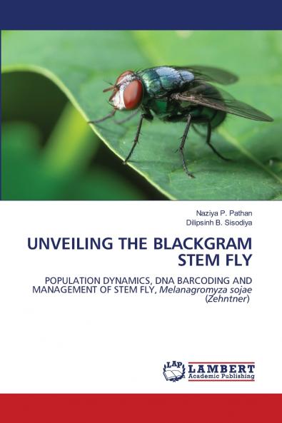 UNVEILING THE BLACKGRAM STEM FLY