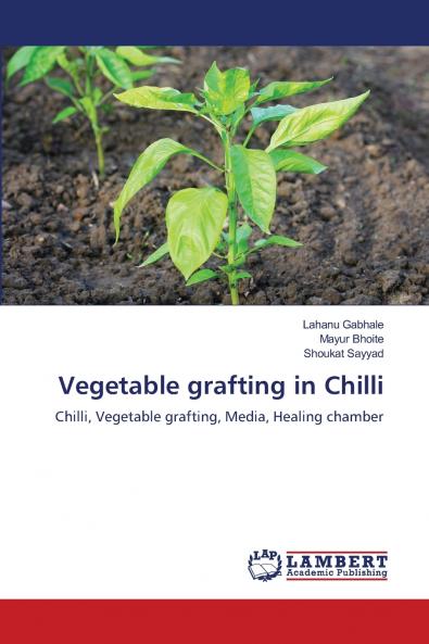 Vegetable grafting in Chilli
