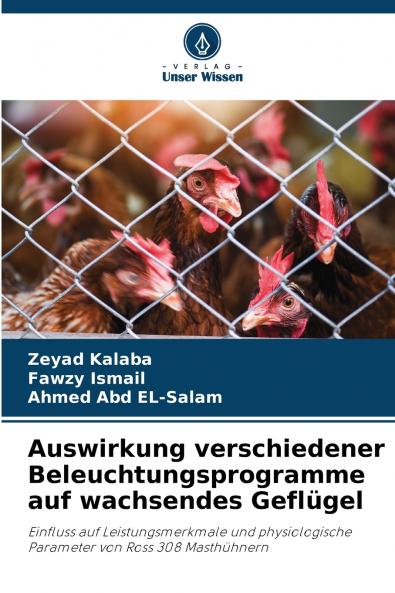 Auswirkung verschiedener Beleuchtungsprogramme auf wachsendes Geflügel