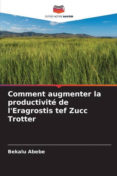 Comment augmenter la productivité de l'Eragrostis tef Zucc Trotter