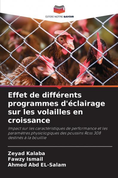 Effet de différents programmes d'éclairage sur les volailles en croissance