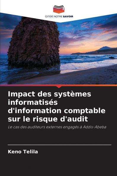 Impact des systèmes informatisés d'information comptable sur le risque d'audit