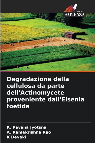 Degradazione della cellulosa da parte dell'Actinomycete proveniente dall'Eisenia foetida