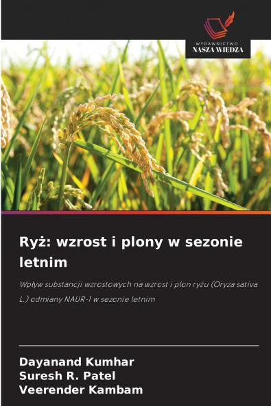 Ryż