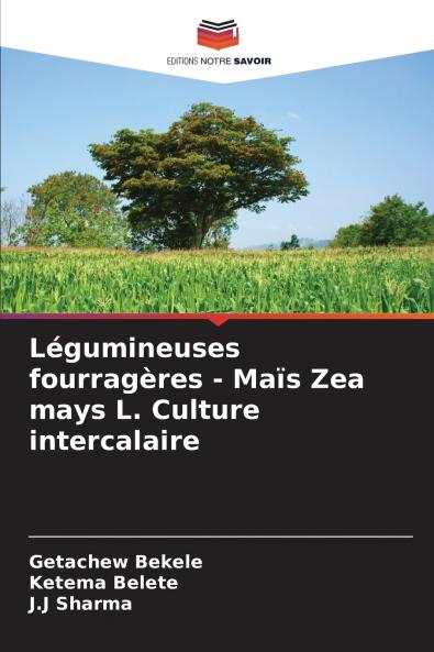 Légumineuses fourragères - Maïs Zea mays L. Culture intercalaire