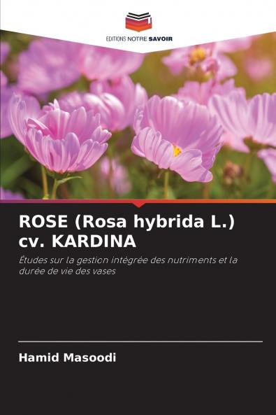 ROSE (Rosa hybrida L.) cv. KARDINA