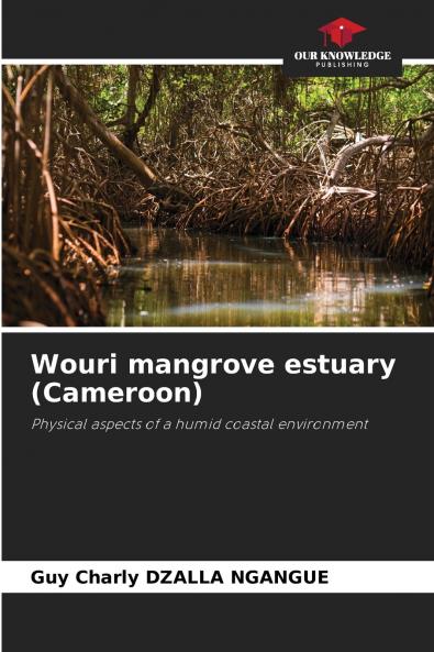 Wouri mangrove estuary (Cameroon)