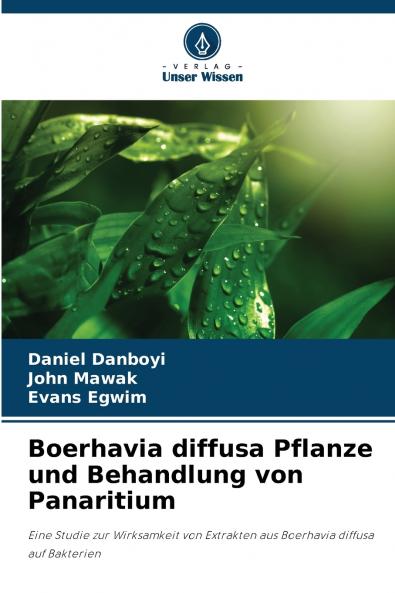 Boerhavia diffusa Pflanze und Behandlung von Panaritium