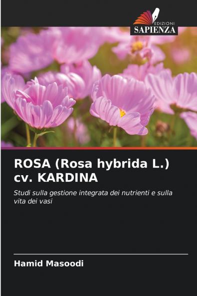 ROSA (Rosa hybrida L.) cv. KARDINA
