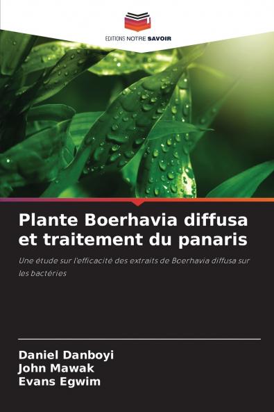 Plante Boerhavia diffusa et traitement du panaris