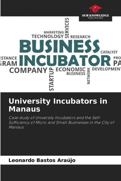 University Incubators in Manaus