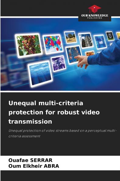 Unequal multi-criteria protection for robust video transmission