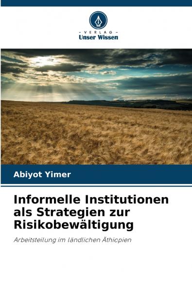 Informelle Institutionen als Strategien zur Risikobewältigung