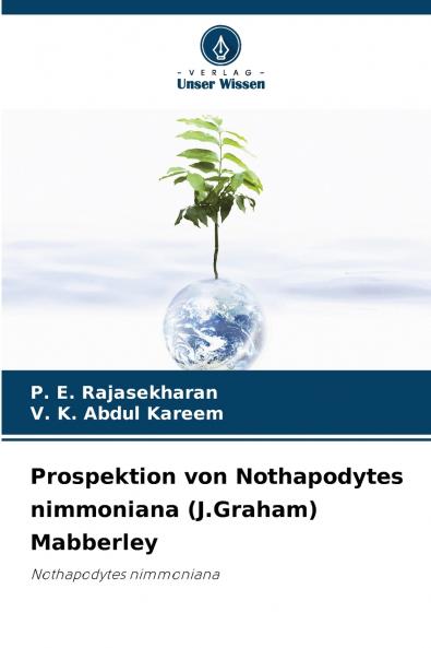 Prospektion von Nothapodytes nimmoniana (J.Graham) Mabberley