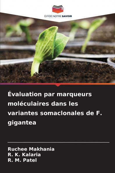 Évaluation par marqueurs moléculaires dans les variantes somaclonales de F. gigantea