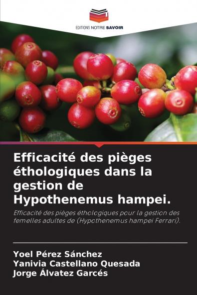 Efficacité des pièges éthologiques dans la gestion de Hypothenemus hampei.