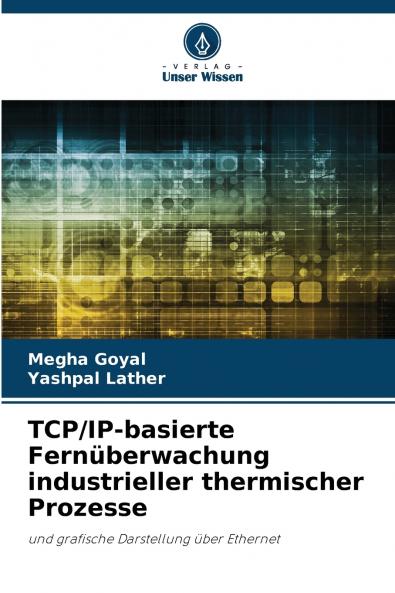 TCP/IP-basierte Fernüberwachung industrieller thermischer Prozesse