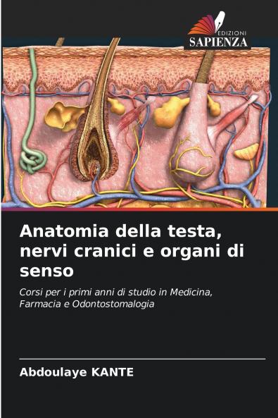 Anatomia della testa nervi cranici e organi di senso