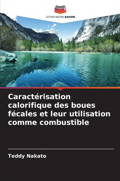 Caractérisation calorifique des boues fécales et leur utilisation comme combustible