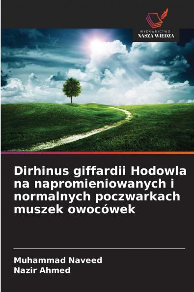 Dirhinus giffardii Hodowla na napromieniowanych i normalnych poczwarkach muszek owocówek