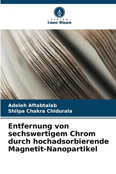 Entfernung von sechswertigem Chrom durch hochadsorbierende Magnetit-Nanopartikel