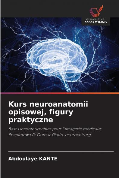 Kurs neuroanatomii opisowej figury praktyczne