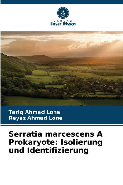 Serratia marcescens A Prokaryote