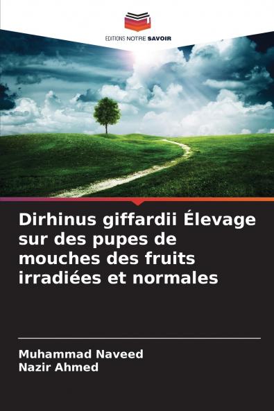 Dirhinus giffardii Élevage sur des pupes de mouches des fruits irradiées et normales