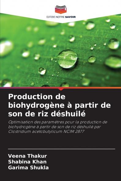 Production de biohydrogène à partir de son de riz déshuilé