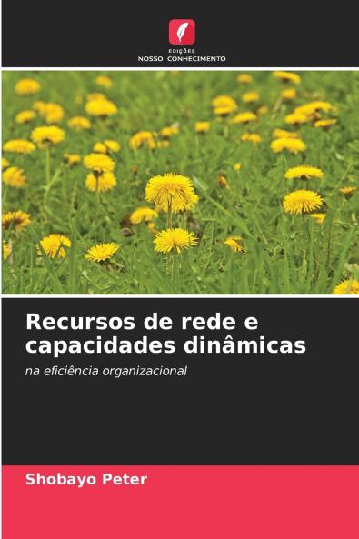Recursos de rede e capacidades dinâmicas