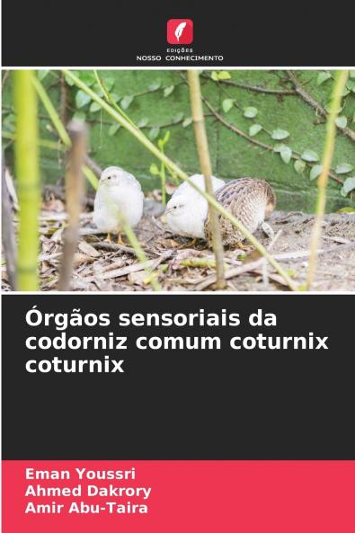Órgãos sensoriais da codorniz comum coturnix coturnix