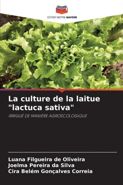 La culture de la laitue lactuca sativa